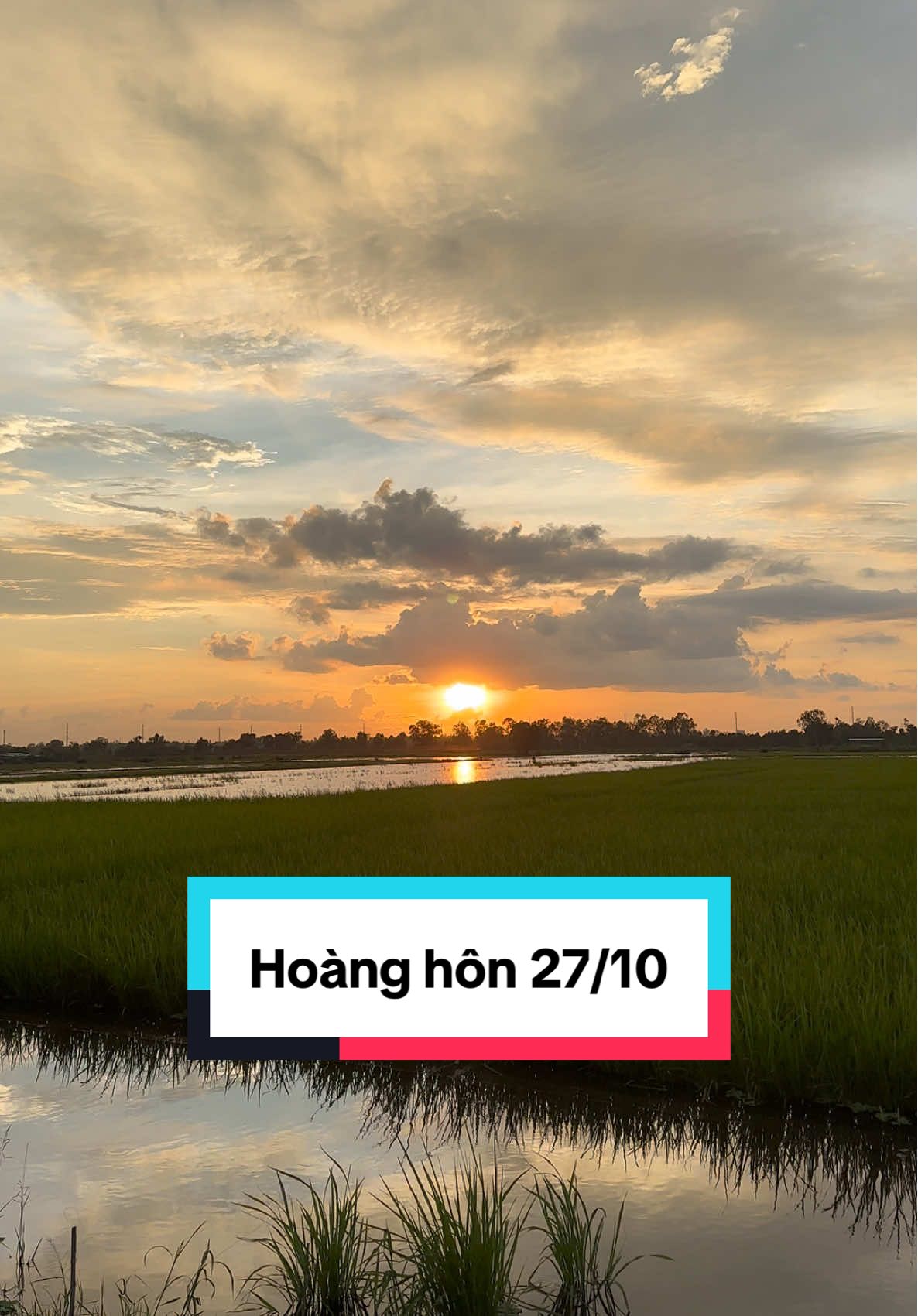 Em muốn ngắm hoàng hôn cùng anh ko ?
