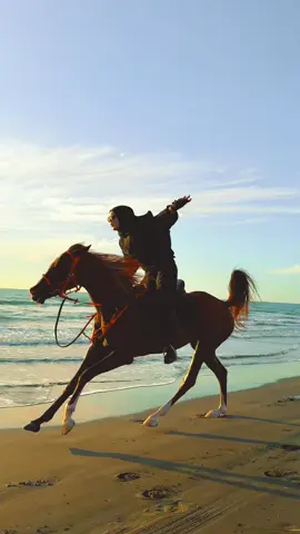 Kör kuyularda …#otantikatçifliği #rumeysademirkirann #gaziantepprovince #horsegirl #gaziantep 