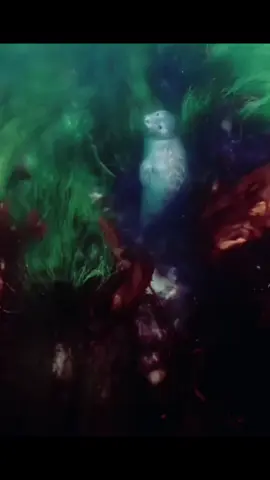 #positivevibes #abundance #foryoupage #manifestation 