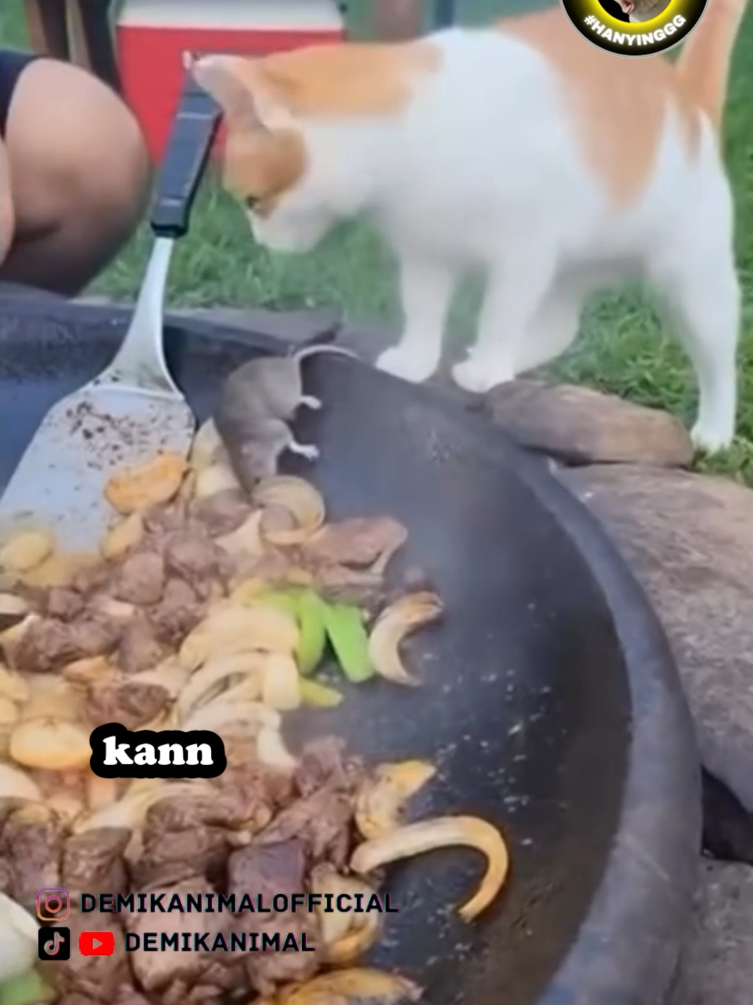 GIMANA NGASIH TAUNYA YA #fyp #foryoupage #foryou #dubbing #dubbinglucu #dubbinghewan #dubbingbinatang #demikanimal #dubbingindonesia