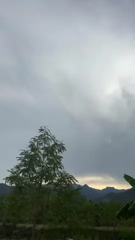 #creatorsearchinsights #trending #fypシ゚viral 