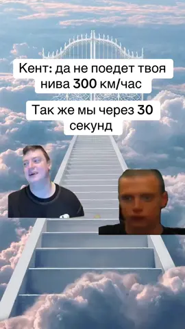 Летели по полю #мелл #мем #рек #нива #fyp 