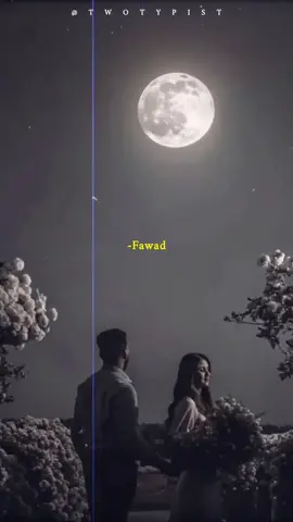 #twotypist #pashtoenglishpotry #pashtosong #faadi #fawadali 