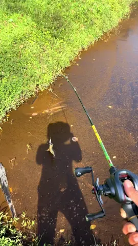 #fyppppp #berandatiktok #acehbarat #pemancing #boncos 