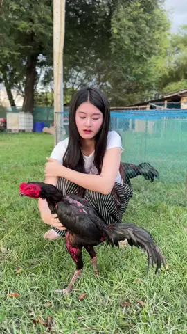 😍🇹🇭#ป๋าก๋อยสโล่หลัง💯💪🏽 