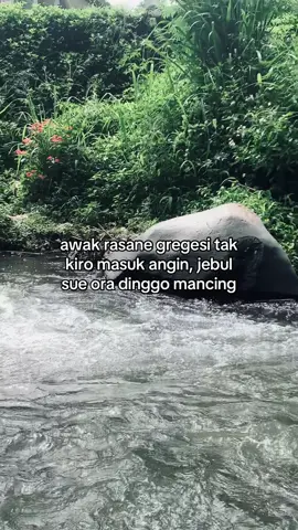 lali carane ngasian#fishing #rtwnadi #bolangrawapening #4u #wongliongertiopo 