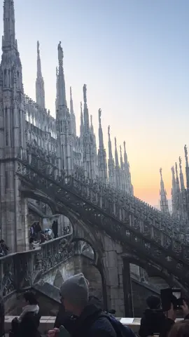 世界は出逢いに行くもの。 旅行好きはここに集まれ #fyp #海外旅行 #おすすめ #一人旅 #europe 