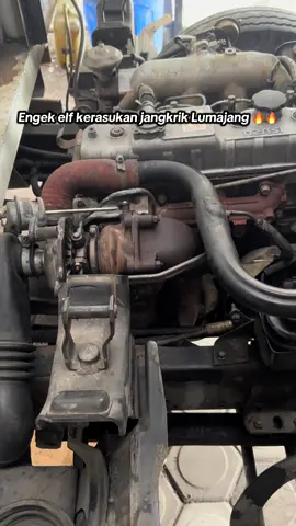 Piu piu engkel elf #modifikasi #elf 