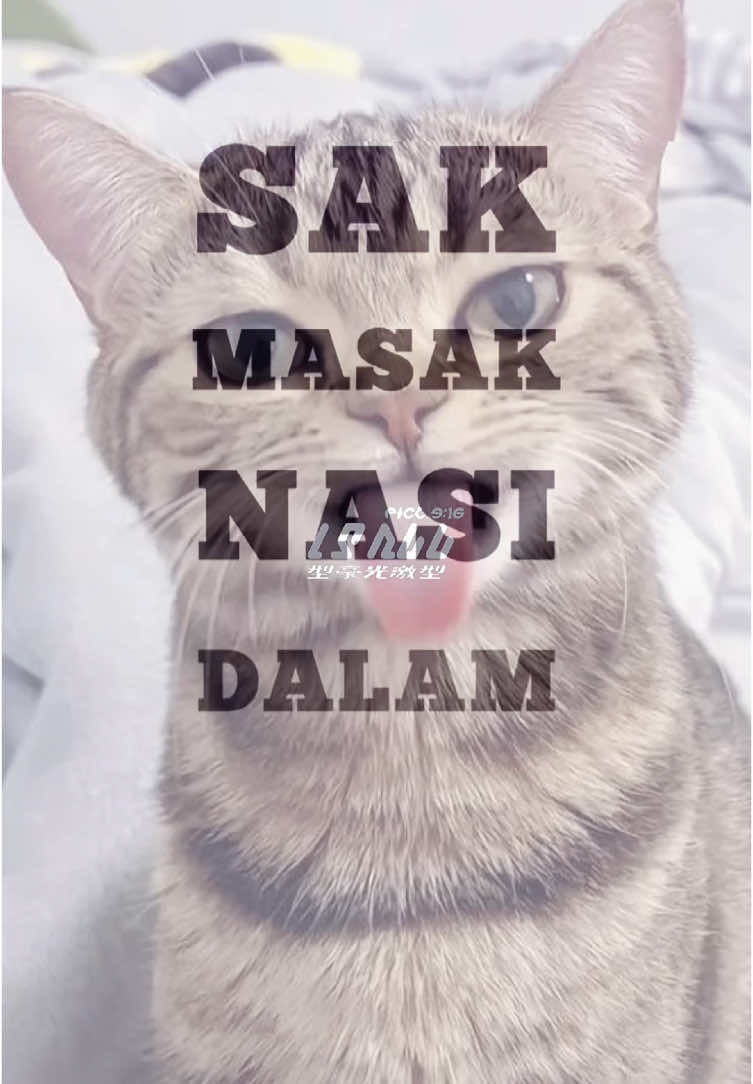 @m.m4hd1_029 @Amin_MH @Nadi_ultra👑  #CapCut #jjviral #jjkece #jjtipis #fyp #djodiz #djodizathena #sallynnx_ #sallynnx_009 #isall_ha 