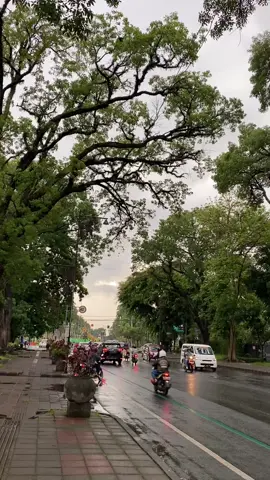 ⋆.ೃ࿔⛈ 🍃 ˖*༄                                           #malang #kotamalang #malangafterrain #idjenboulevard #malang24jam 