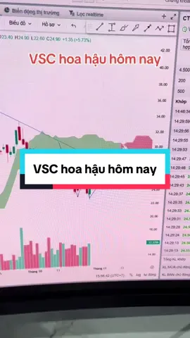 VSC hoa hậu hôm nay #viral #kimloivps #vnindex #ChứngKhoán #cổphiếu 