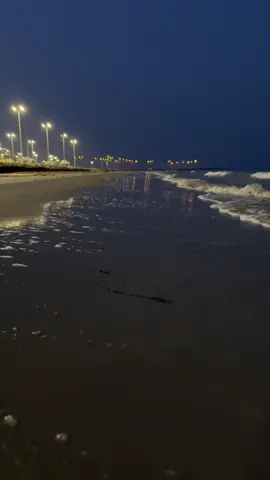 #الشعب_الصيني_ماله_حل😂😂 #القنفذه_الجنوب_اكسبلور #اكسبلورexplore #ردححح😂💃💃 #tyson 