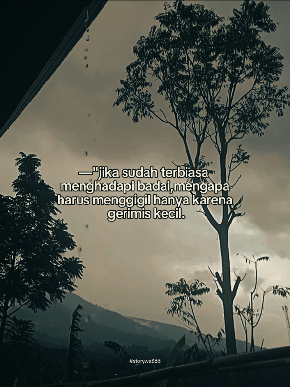 jangan menyerah karna hal kecil😊💪 #statuswa #katakatamotivasi #alam #gunungsalak #fyppppppppppppppppppppppp 