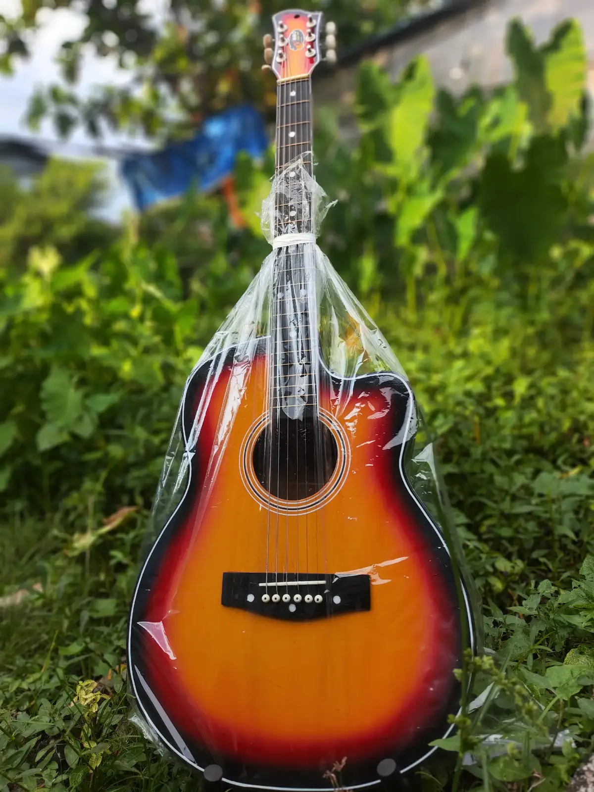 #mmoguitarshop🎸🎸🎸 #အခြေခံညီကိုတွေအတွက်mmoရှိနေတယ် #ရန်ကုန်မြို့တွင်းအိမ်ရောက်ငွေချေ #ဂီတချစ်မြတ်နိုးသူလေး🎸🎤🎧🎼🎬🎹❤❤ #ရောက်စမ်းfypပေါ် 