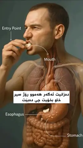 #slemani #f #foryoupage #for 