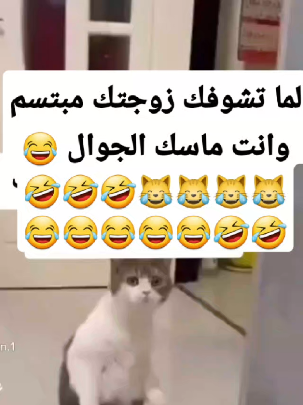 مقاطع مضحكه  #creatorsearchinsights #مقاطع_مضحكة #اضحك #ضحك_طقطقه_فله_وناسه #ضحك_طقطقه_فله_وناسه 