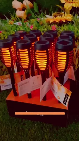 Light up your evenings with zero electricity bills! Our variety of solar-powered wall lights are completely waterproof and shine bright all night long. #SolarEnergy #OutdoorLiving #NoWires#HomeLight#GardenLight#SolarLife#SolarLights