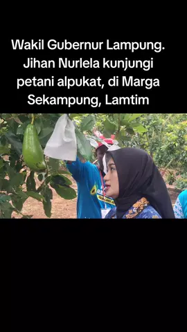 @lamtimmakmur @Ella Siti Nuryamah @Jihan Daily 