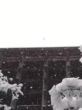 #lucuyentiensinh #duhihongtran 