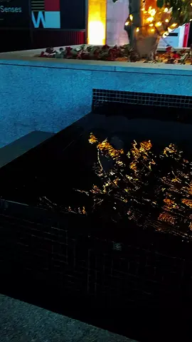 انا كنت فاكرك لي 🥀#اغاني_سودانية #sudanese_music #سودانيز_تيك_توك_مشاهير_السودان🇸🇩سودان #sudanese_songs #sudanese_tiktokمشاهير 