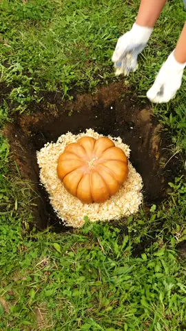 Say no to food wasting and preserve food longer with these amazing hacks! 😎 #foodpreservation #foodhacks #DIY #sustainable #zerowaste 