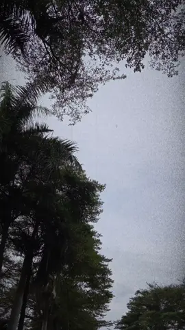 lagu nya indah sekali 🥹 @Mahalini Raharja  #mahaliniraharja #untukyangbersamanya #albumkoma 