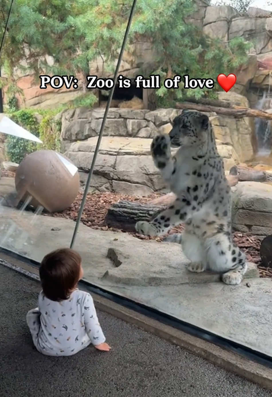 Zoo is full of ❤️ #animals #baby #kid #Love #zoo 