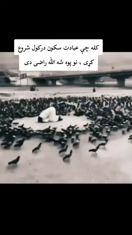 #tiktok #foryou #night #moon 