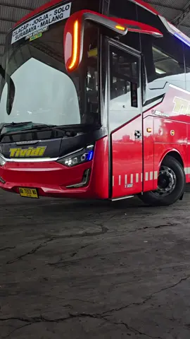 AKAP #creatorsearchinsights #tiktok #fyp #viral #pageforyou 