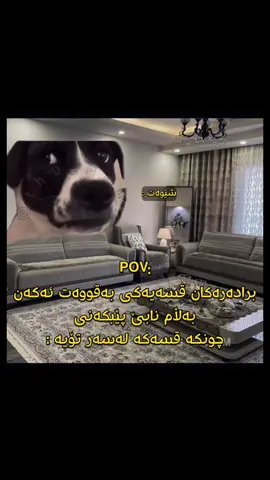 برادەرەکانتان تاگکەن #ires #iriz #kurd #fyp #pov 