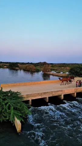 وادي حلي غرب محايل@ظافر بن حاسن #اكسبلور 