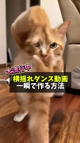 大バズりしてる横揺れダンス動画の作り方。猫や犬などの動物だけでなく人でも画像1枚から作れます。バズってる動画リストから動画作れば再生取れるので、最後までチェックしてね #横揺れ #横揺れダンス #ai活用 #エフェクト 