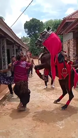 #fyppppppppppppppppppppppp #fypシ゚ #fadlymotor #sirojagat #kudakencakmadurasumenep @Fadly Motor 02 