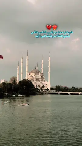 #النتشارالسريع 