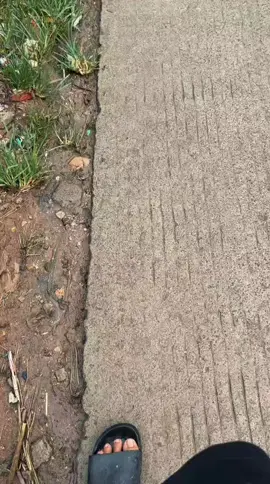 #story985 #smptwowirosari #smp2wirosari #spendurosi #fyppppppppppppppppppppppp 