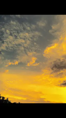 ما هو شعورك عندما تكون محبوبا 