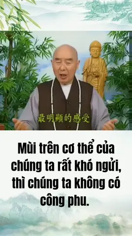 #phapsutinhkhong #ADIDAPHAT #xuhuong 