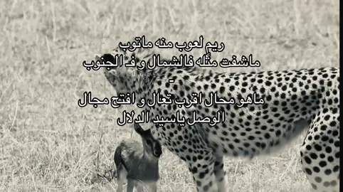 #fffffffffffyyyyyyyyyyypppppppppppp #viral 