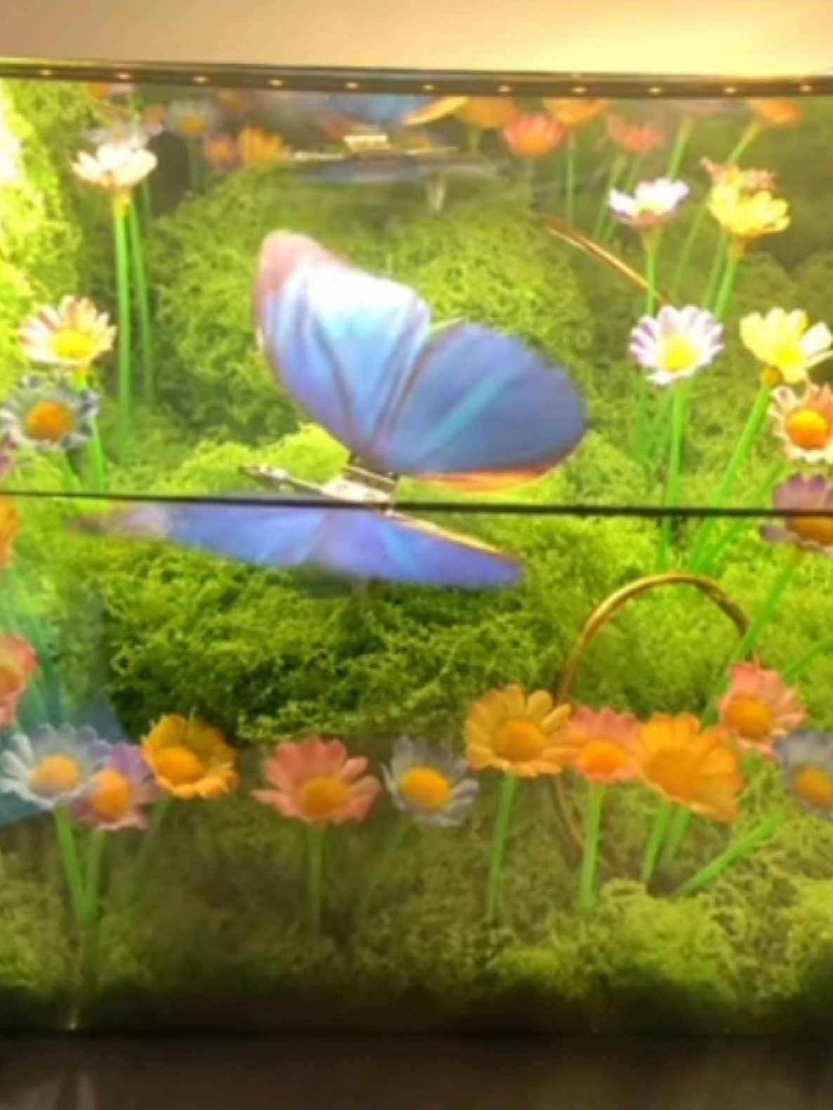 #xhhhhhhhhhhhhhhhhhhhhhhh #quatangnguoiyeu #denngu3d 