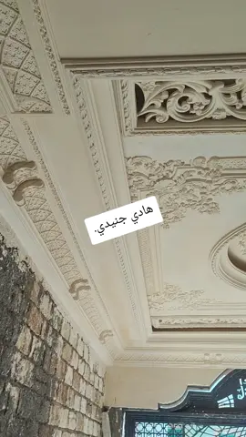 #جبس  #جبس_بلدي_انتظرو_كل_جديد  #اعلا_فنش_في_مصر 