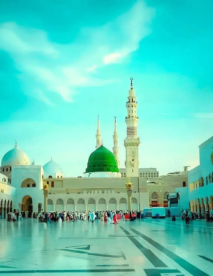 #creatorsearchinsights 