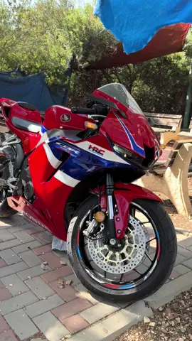 #الناصره_الشامخه👑🦅 #600rr #cbr #חיפה #honda 