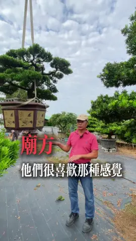 #庭園景觀樹造景 #景觀設計維護 #高雄景觀設計 #景觀設計 #真柏開運 