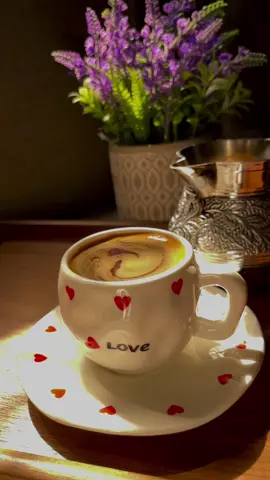 #اكسبلورexplore 