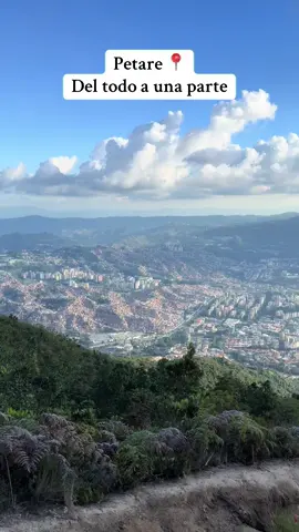 Disfrutar de Petare. Desde la naturaleza, con aves de fondo. #avila #petare #zoom 