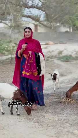 #جزيرة_قشم💚🤍❤️