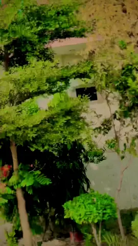 اے سار سٹیندا تلیاں❤️‍🩹|#syedabbas984 #viral #foryoupage 