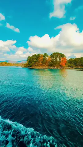 🍂🍁 #fyp #autumn #japan #onemillionaudition #foryou 