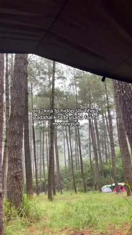 #manadoviral  #manadokatakata 