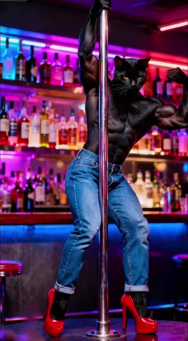 #aicat #fyp #story #foryourpage 